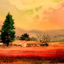 채기농장 이미지