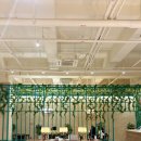 KIRINE(키린느) 이미지