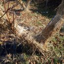 제일피복 이미지