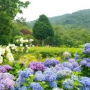 해피데이 이미지