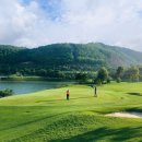 엠버(Amber) 이미지