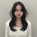 모델헤어아트