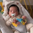 회초천 | 25.3.15~3.21 맛있는거 많이 먹고 뚱뚱해지는 일상