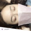 컬러리아 이미지