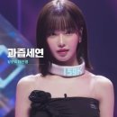 세연서비스