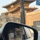 벌크커피수원화서점