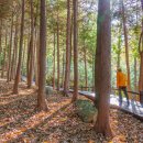 읍성로-2 이미지