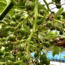 (주)바이오피드 이미지