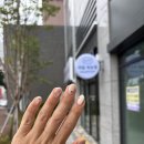 벨메르뷰티 | 대구 벨메르뷰티 네일샵 (내돈내산)