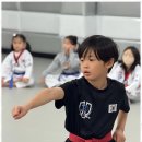 대호태권도 이미지