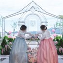 행복가든 | [웨딩] L65 호텔 웨딩 컨벤션 가든홀 본식 후기 (2)