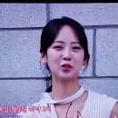 20240617 더트롯뉴스 혜연언니 스샷 이미지