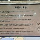 팔영산토종흑염소