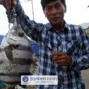 바다정성