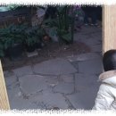 언더파라다이스 | 인천 실내동물원 몬스터리움 + 은평 롯데월드 언더씨킹덤 후기 –아기 동반 키 기준·입장료·시설 총정리