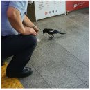 까치PC방 이미지