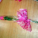 셀로판B 이미지