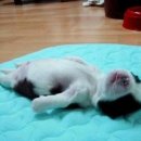 장사그만 이미지
