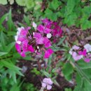 승희농장 이미지