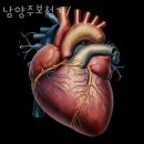 현대종합의료기 이미지