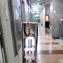 과천대로 이미지