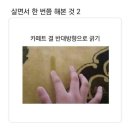 소싯적에 Daum카페