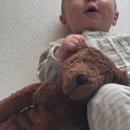 네이처세탁 | 곰인형] 애착인형 추천*세탁방법까지* / 센저네이처웰트 플러시 베어 구매 후기 ‘감성인형 찾는다면...