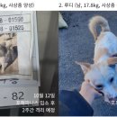 파티친구 이미지