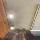 설빈 | 레이어드, 스타일추천] 준오헤어 신촌점 퍼스널 컨설팅 젤리펌, 앞머리 모류교정 후기 (설빈 디자이너)