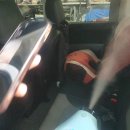 불독셀프세차 이미지