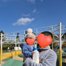 고니목장 이미지