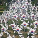 호국원실외 네이버블로그