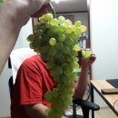 유기농일번지 이미지