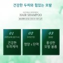 소노지아