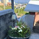 오션포레 | 제주도 듀포레 공항근처 오션뷰 카페 내돈내산 후기