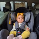 아이(I)세탁 | 다이치 블리바 360 아이사이즈 카시트 신생아부터 10개월 사용 후기