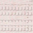 라온펫동물병원 이미지