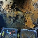 대양자원 이미지