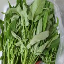 지혜농장 이미지