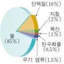 옴. 아. 훔 chant가 세포 진동으로 온 몸의 세포가 진화하다 이미지