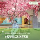구미 신라불교초전지 소원트리에 걸린 소원은? 무료입장 예약하는법.
