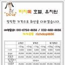 리치독