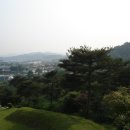 하연 선생 묘 이미지