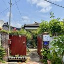 백조이용원 이미지