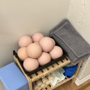 림필라테스 | 울산남구필라테스 5:1 그룹 수업 후기, 필라테스 림