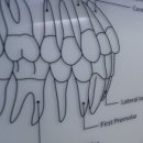 상동 624-2 이미지