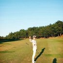 성대3리 이미지