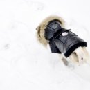 멍클레어 이미지