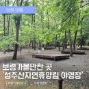 성주산 자연휴양림 대형주차장 | 당일치기 보령여행, 성주산자연휴양림캠핑장