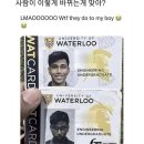 파트라슈 이미지
